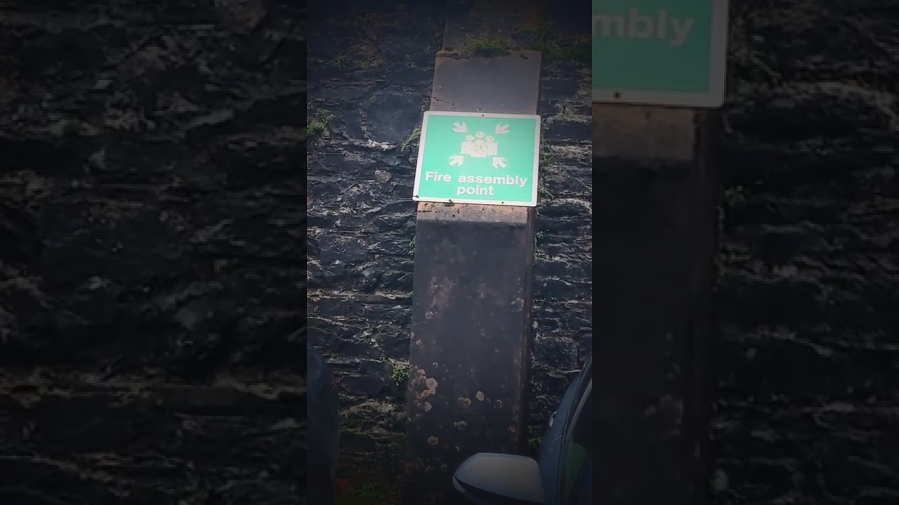 🔥 assembly point ☝️ is crowded with cars