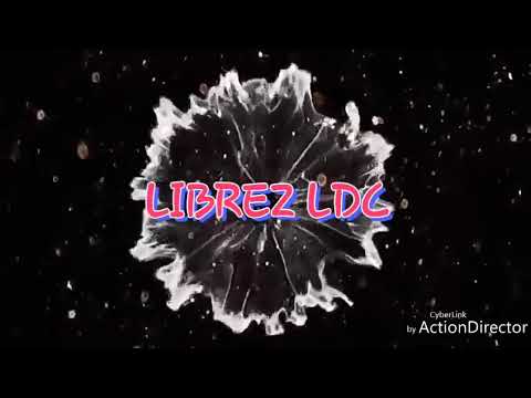 Pesta (Lewoleba punya cara)