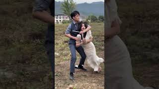 Download lagu A beautiful girl was kidnapped by a villain and held hostage with a knife #shortdrama #short mp3