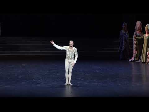 Paul Marque in "Swan Lake" by Rudolf Nureyev, Act III variation
