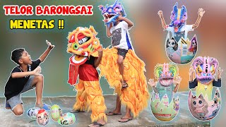Download lagu EMERGENCY‼️ THE BARONGSAI EGG THAT RENDI HATCHED HEATED #eps2 mp3