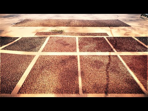 Spartans Lay Siege to The City | Ultimate Epic Battle Simulator 2 | UEBS2