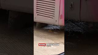 Download lagu DO NOT DEFEAT IN THE BUS TOILET!!! #shorts #busmania #jetbus3 #adiputro #laksanabus #tourismbus mp3 Download lagu DO NOT DEFEAT IN THE BUS TOILET!!! #shorts #busmania #jetbus3 #adiputro #laksanabus #tourismbus mp3