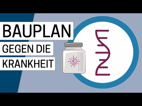 Was ist ein mRNA-Impfstoff?