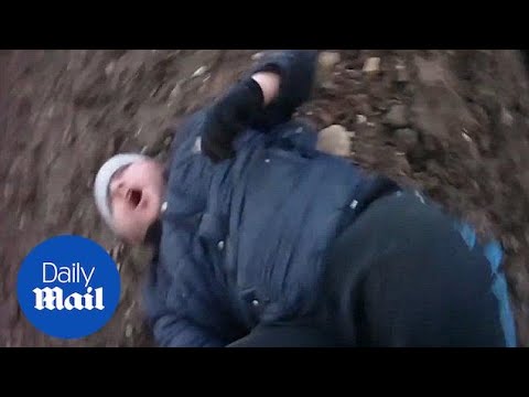 "He's biting me": Crook stopped by police dog after rural chase - Daily Mail