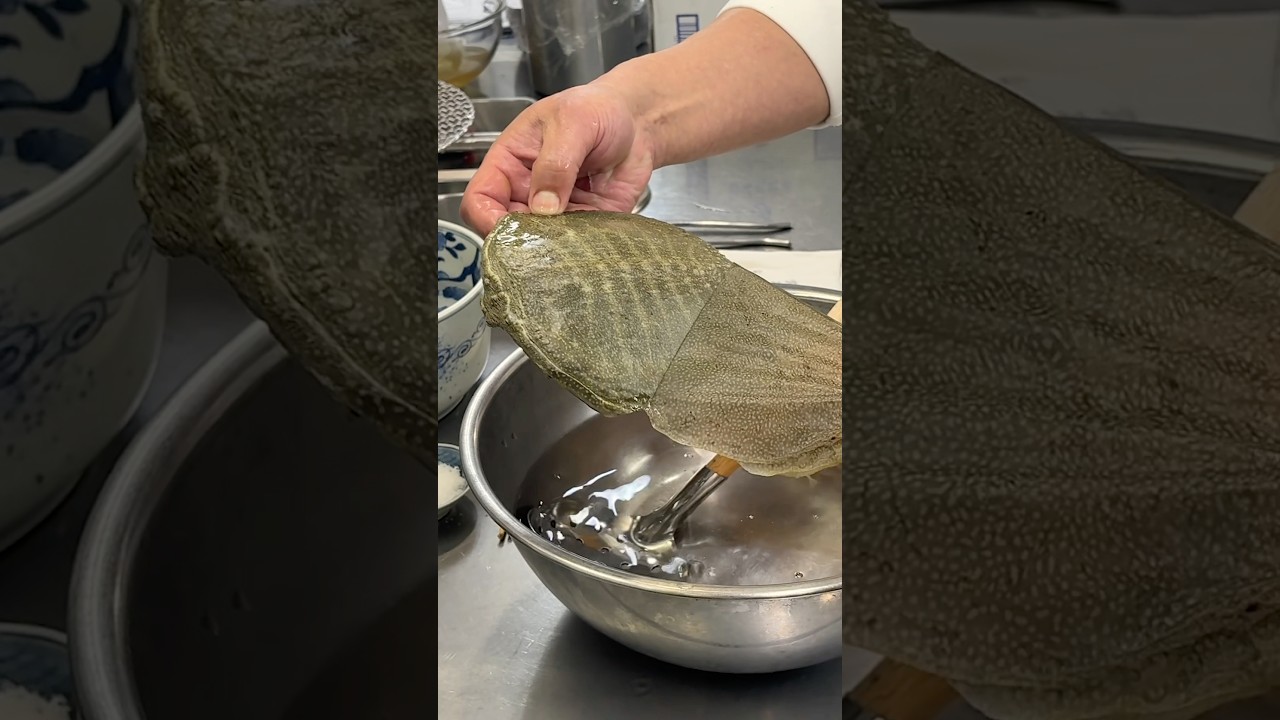 Luxury Softshell Turtle in Japan！200-Year-Old Restaurant Nadaman #japanesefood #delicacy