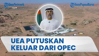 Guncang Pasar Minyak Global, UEA Keluar dari OPEC demi Tingkatkan Kapasitas Produksi Mandiri