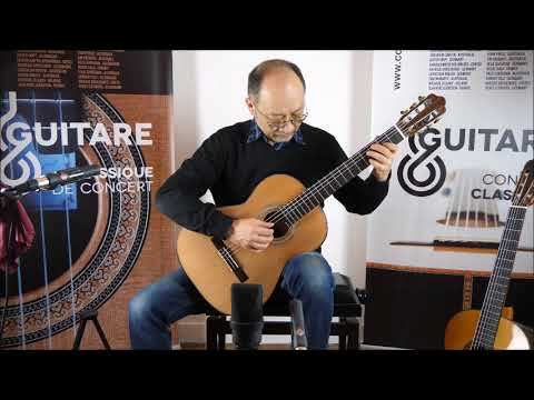 Comparison Fleta Pashentsev No 198 Fleta Vs Kohno 1981 M 20 1981 www.concert-classical-guitar.com