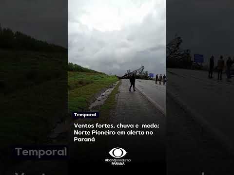 Temporal provoca destruição na PR-160, no Norte Pioneiro do Paraná nesta sexta-feira (23)