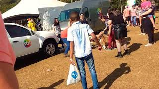 Briga de Pitbull em caopanheiro em jau