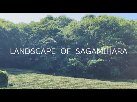 相模原市景観プロモーション動画「ＬＡＮＤＳＣＡＰＥ　ＯＦ　ＳＡＧＡＭＩＨＡＲＡ」(通常版)