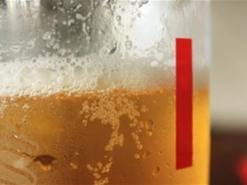 download lagu mp3 mp4 Stop Drinking Expert, download lagu Stop Drinking Expert gratis, unduh video klip Stop Drinking Expert