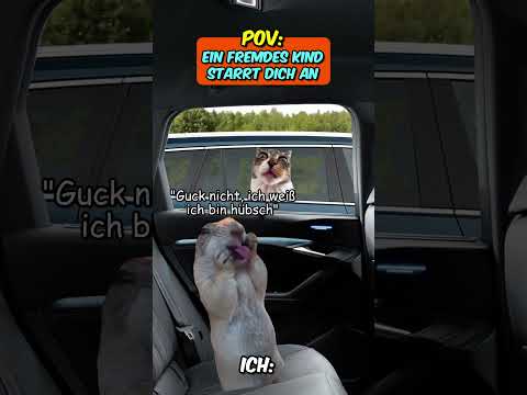 PoV: Ein fremdes Kind starrt dich an 😯🤣 #katze #lustig #auto
