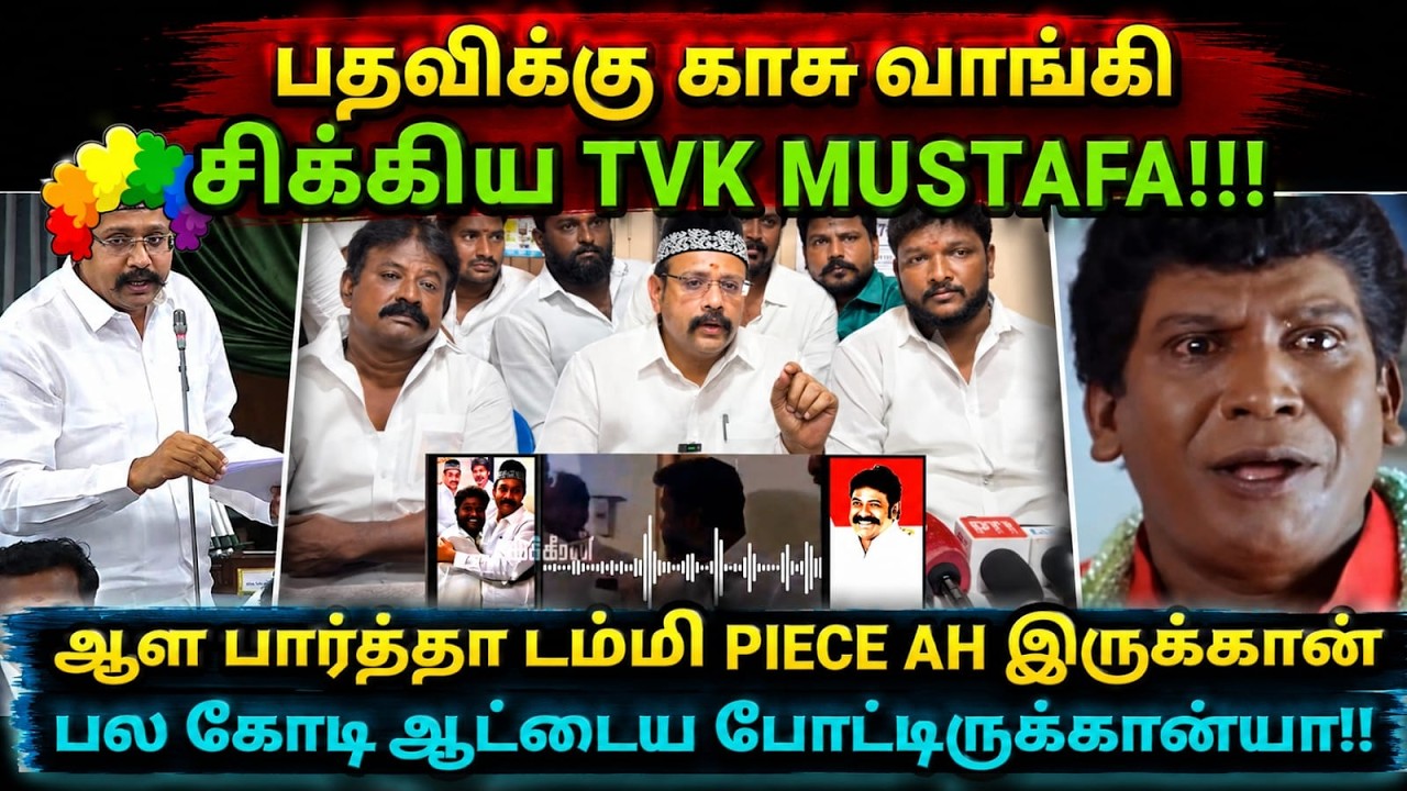 TVK MLA MUSTAFA LEAKED AUDIO | ஆள பார்த்தா டம்மி PIECE AH இருக்கான் பல கோடி ஆ?