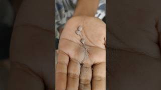 Download lagu The unique animal, the undur undur mp3 Download lagu The unique animal, the undur undur mp3