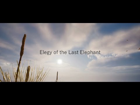 Elegy of the Last Elephant | short film | Unreal Engine | Animation Demo