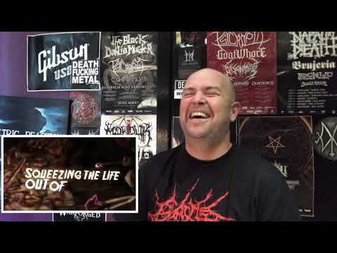 SWINAECOLOGIST ( INFANT ANNIHILATOR) REVIEW!!!