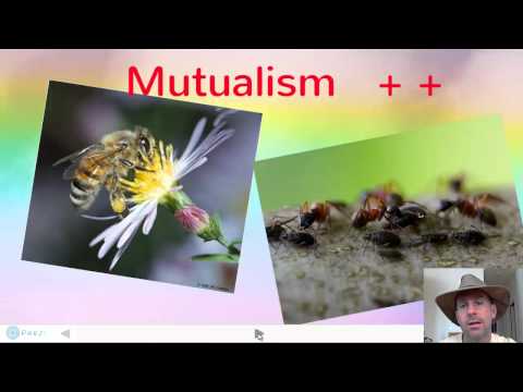 Ecological Interactions