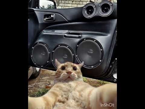 Хочешь навариться😃