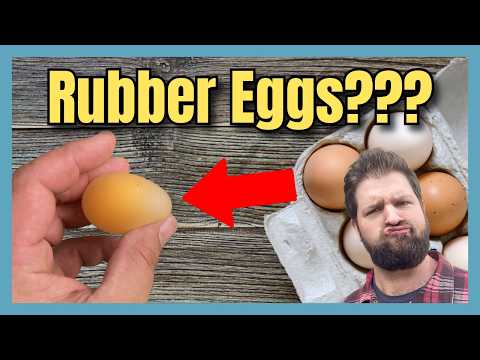 Shell-Less Eggs in Chickens? 4 Causes (and How to Fix Them)
