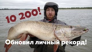 Ссылка