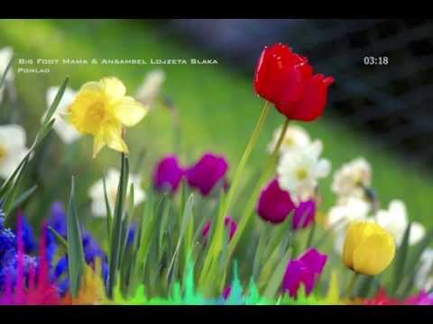 Pomlad video
