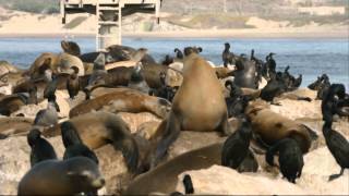 The Best of Big Blue Live - The Best of Big Blue Live