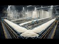 Inside A Giant Rice Factory Watch MASSIVE Grains Get Processed