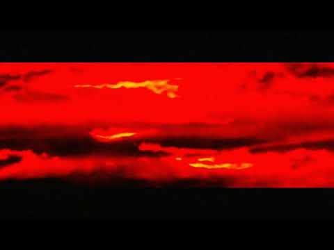 saf10 - Focus on Painting