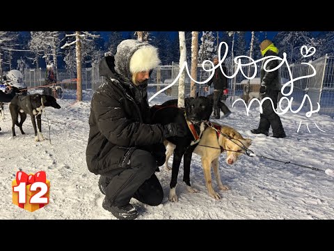 REINDEER AND NORTHERN LIGHTS - VlogMas #12