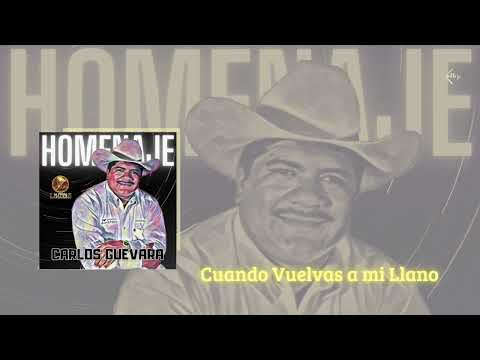 La Negra Linares - Cuando Vuelvas a mi Llano