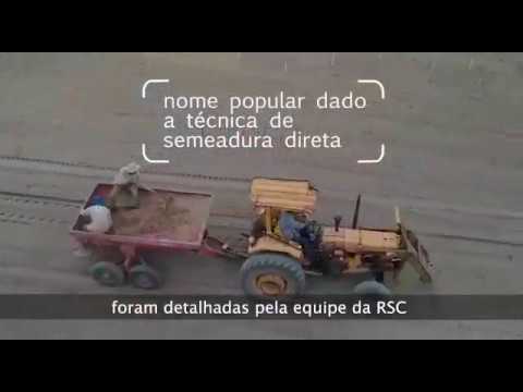 Dia de Campo – demonstrando a semeadura direta na Chapada dos Veadeiros