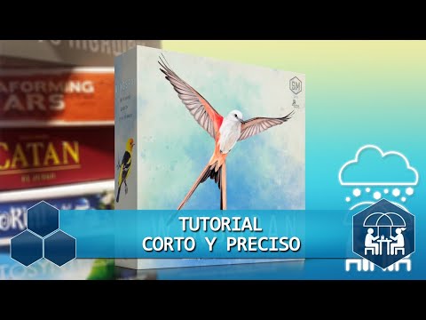 Vista previa del video