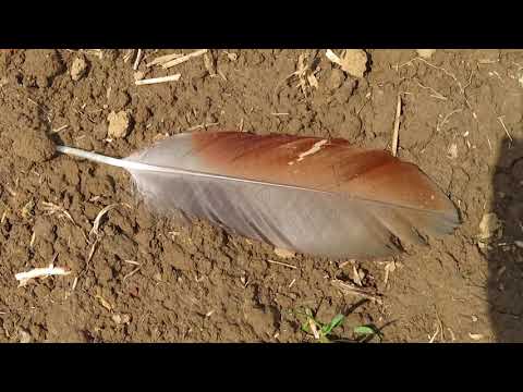 67 km Tour de Rodgau - Erinnerungstour