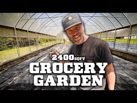 We built a 2,400 sq/Ft Grocery Garden (in a high tunnel) Part 2