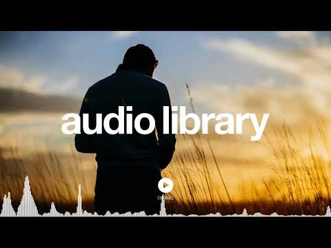 No Copyright Music Live The Life   Edwin Ajtún   YouTube