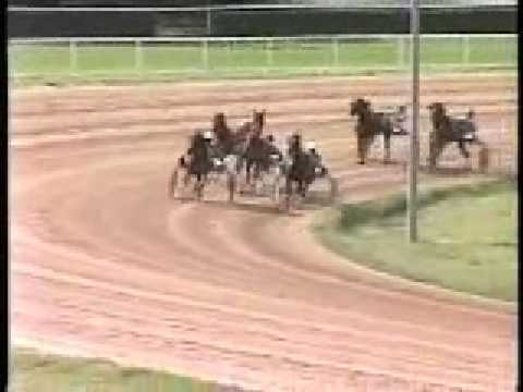 get Nagydjak 2008   1 rsz