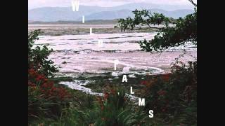 Wild Palms - Carnations
