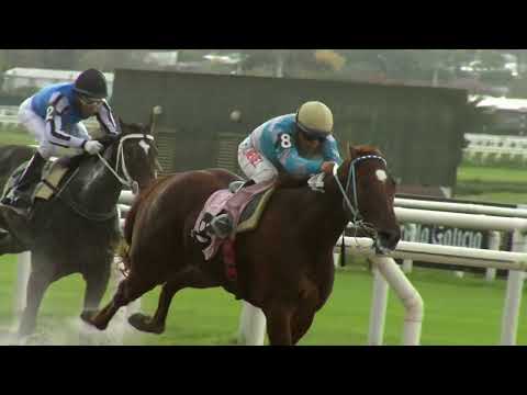 230430 c06 ROSA NEGRA