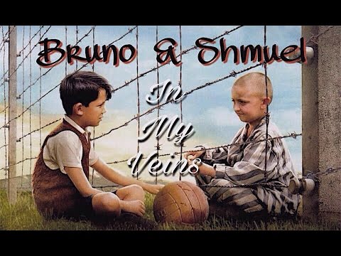Bruno & Shmuel | in my veins [The Boy In The Striped Pyjamas]