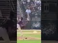 Randy Johnson smokes a bird with a 100+ MPH fastball and it explodes.