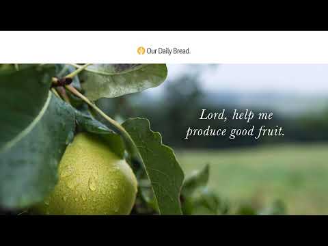 Look at the Fruit | Audio Reading | Our Daily Bread Devotional | October 1, 2022