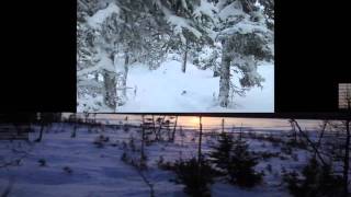 Rigolet Storytelling &amp; Digital Media Lab: How my dad learned his trapping heritage