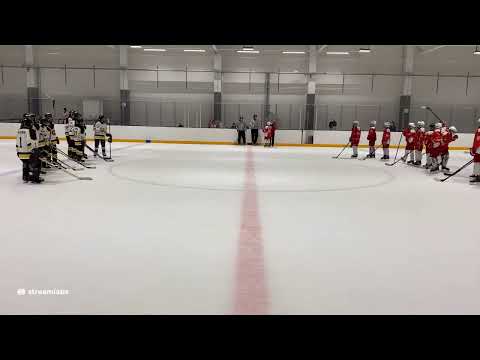 HOKKI white - Kärpät musta u13 8.11.2020