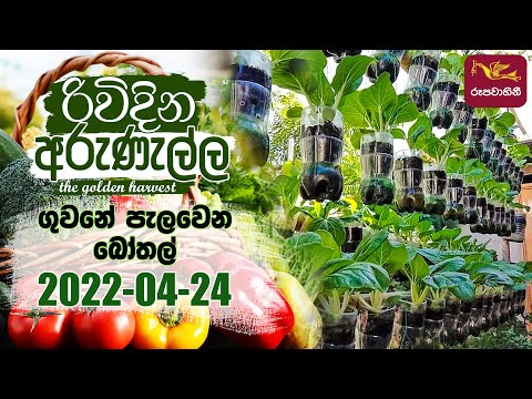 Rividina Arunella - ගුවනේ පැලවෙන බෝතල් | 2022-04-24 | Agriculture Programme