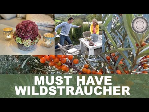Beschreibung wertvoller heimischer Heckenpflanzen Vogelnährgehölz einfache Herbstdeko zum Nachmachen