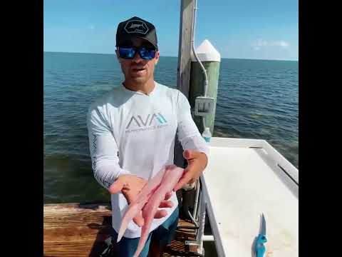 Epic Islamorada Fishing Frenzy!   Lobster, Mahi Tuna, Grouper Catch and Clean Cook | #shorts
