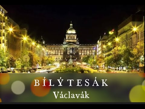 Bílý Tesák (White Fang) - BÍLÝ TESÁK - Václavák