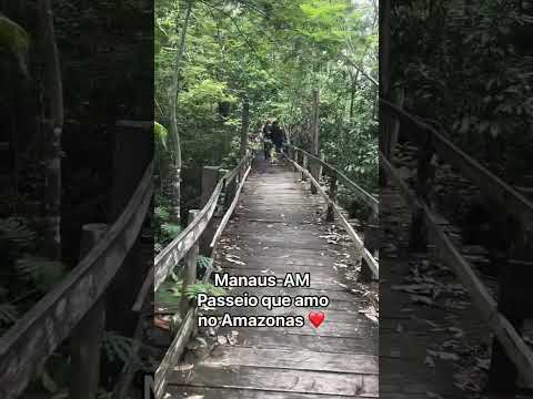 Passeio em Manaus #passeiodecarro #manausmazonas #travel #amazonia #deusnocomando #turismo #viral