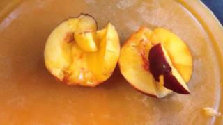 DIY FRUCHT SPIESSE🍡 | Vivi-Pooh